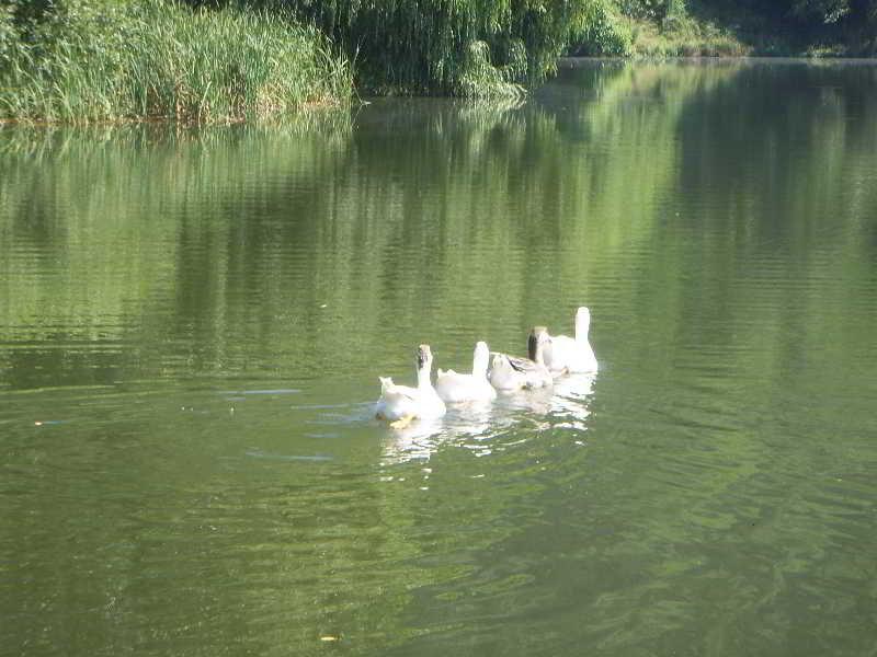 The Lake Villa Smoljan Exterior foto